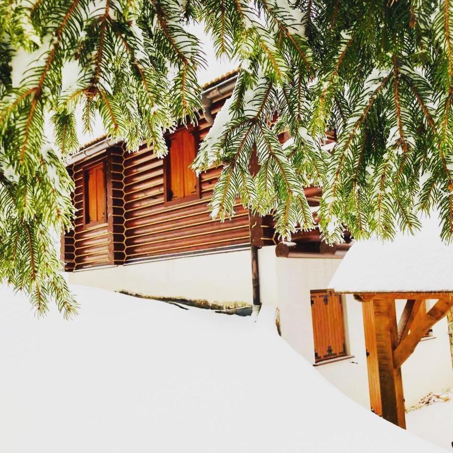 Pine Lodge Hlevci Exterior photo